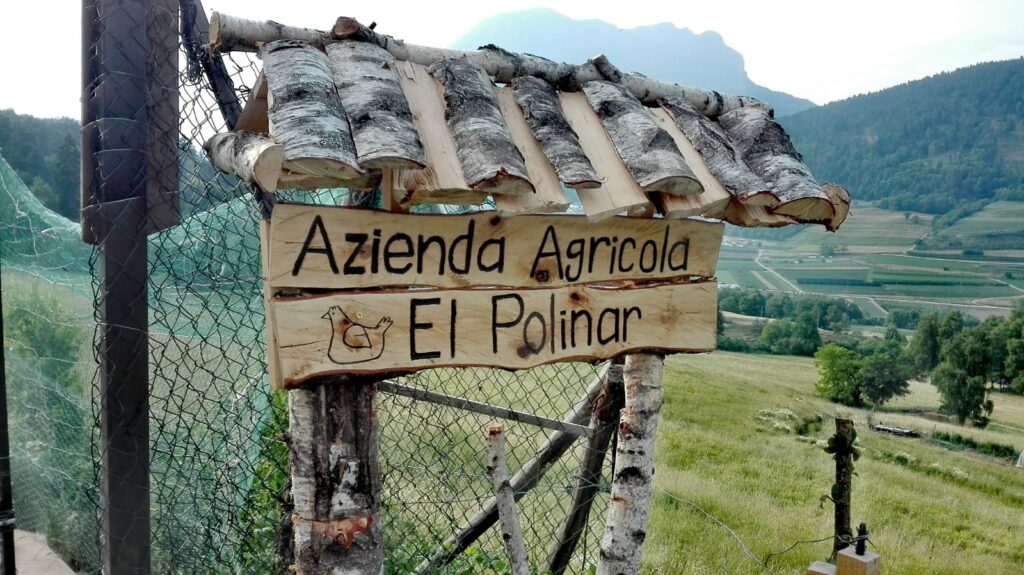 Azienda agricola “El Polinar” di Giacomo Furlani