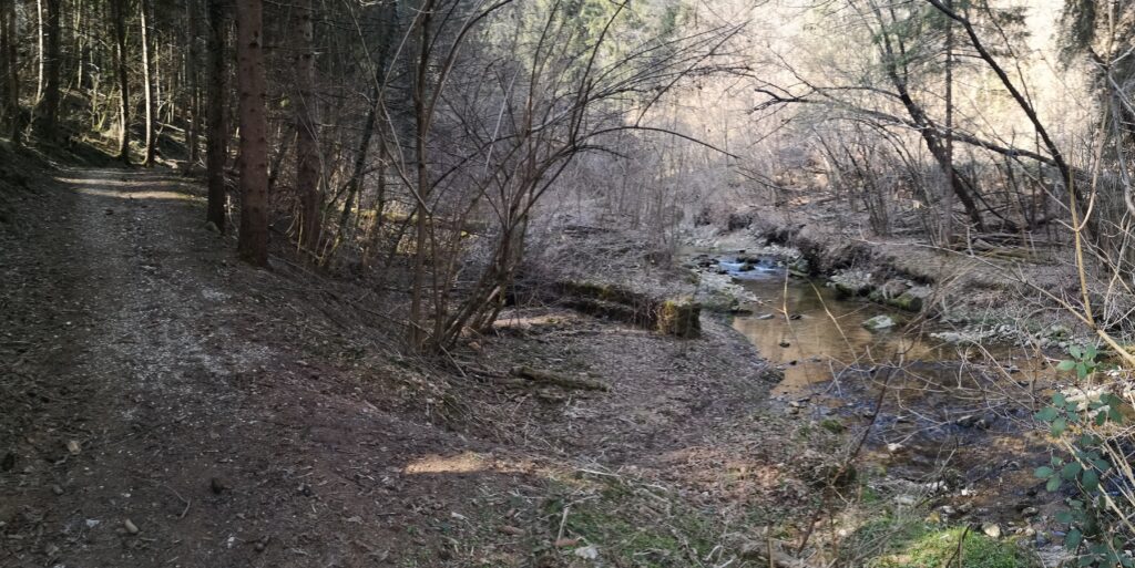 La storia dell’Orbo della Mandola – seconda parte